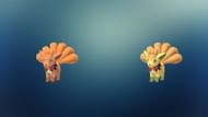 Regular and shiny Vulpix wearing a Spooky Festival costume (Image via TPC)